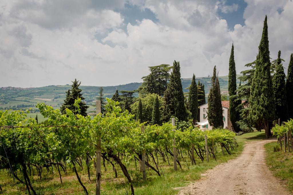 Massimago Wine Relais Mezzane di Sotto Exterior foto